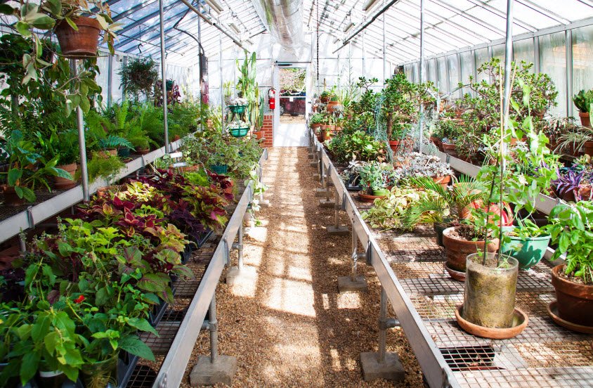 The University of Alabama Arboretum, United States